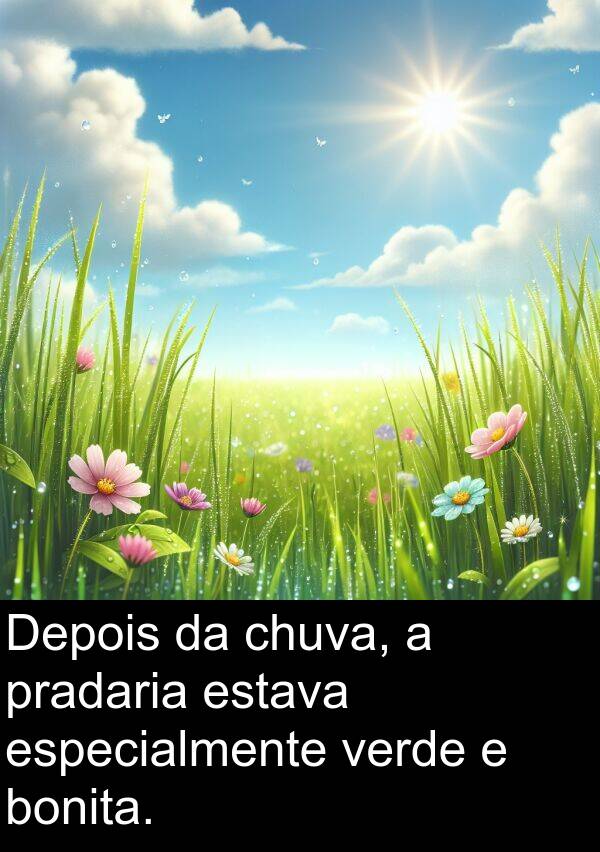 pradaria: Depois da chuva, a pradaria estava especialmente verde e bonita.
