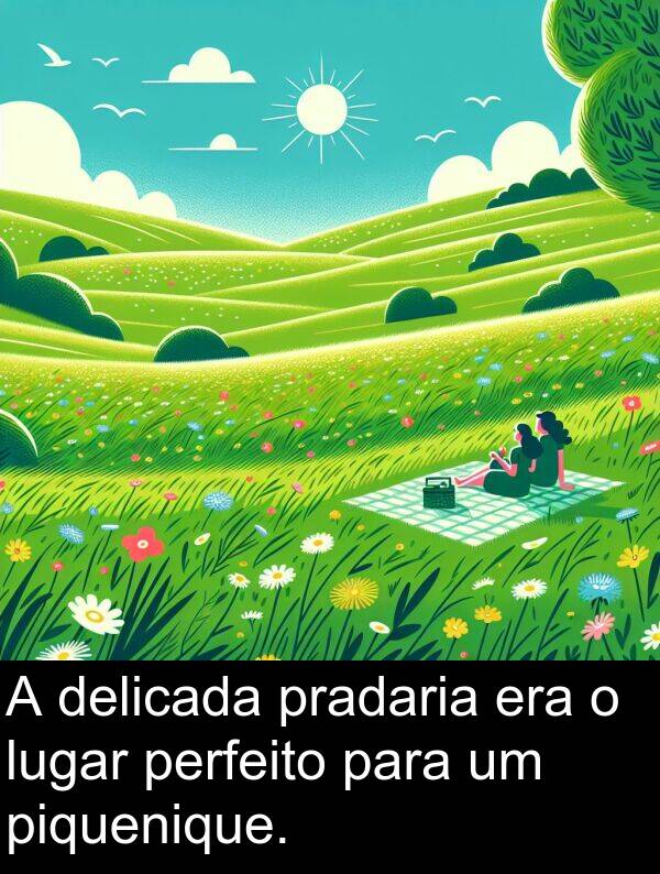 pradaria: A delicada pradaria era o lugar perfeito para um piquenique.