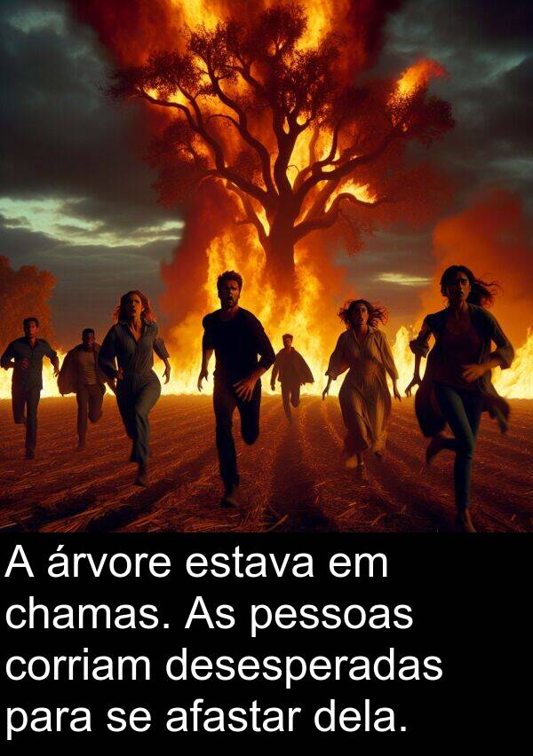 afastar: A árvore estava em chamas. As pessoas corriam desesperadas para se afastar dela.