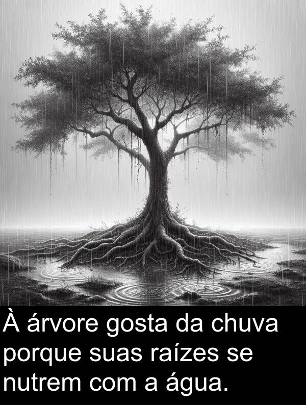 porque: À árvore gosta da chuva porque suas raízes se nutrem com a água.