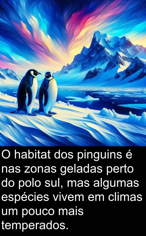 geladas: O habitat dos pinguins é nas zonas geladas perto do polo sul, mas algumas espécies vivem em climas um pouco mais temperados.