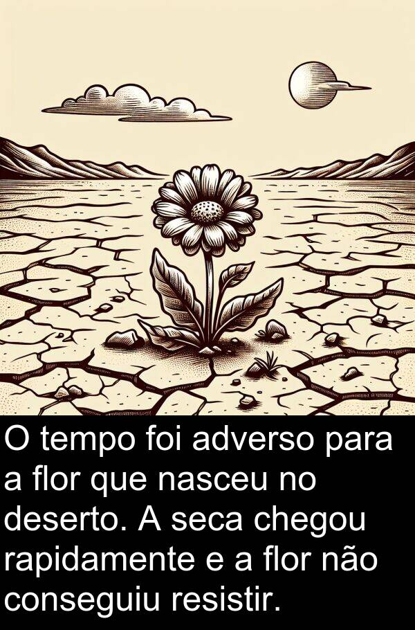 nasceu: O tempo foi adverso para a flor que nasceu no deserto. A seca chegou rapidamente e a flor não conseguiu resistir.