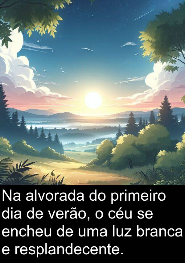 encheu: Na alvorada do primeiro dia de verão, o céu se encheu de uma luz branca e resplandecente.
