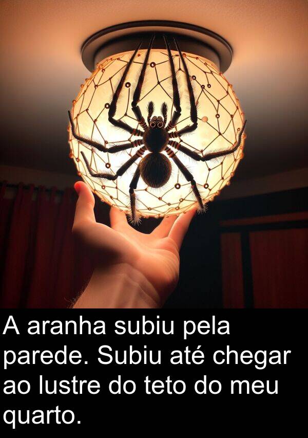 parede: A aranha subiu pela parede. Subiu até chegar ao lustre do teto do meu quarto.