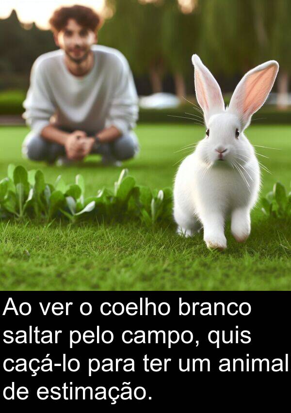 saltar: Ao ver o coelho branco saltar pelo campo, quis caçá-lo para ter um animal de estimação.
