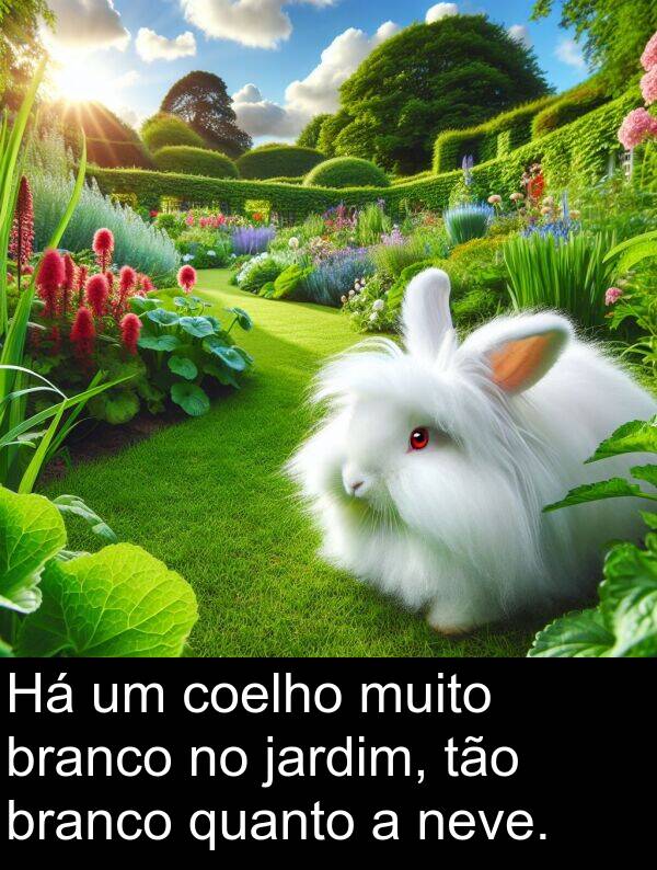 jardim: Há um coelho muito branco no jardim, tão branco quanto a neve.