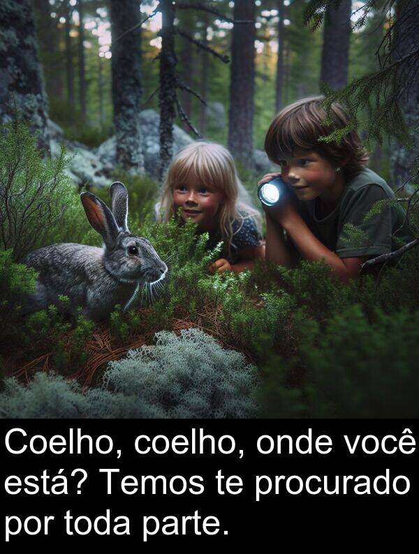 onde: Coelho, coelho, onde você está? Temos te procurado por toda parte.