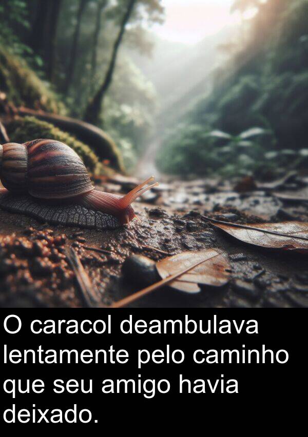 caminho: O caracol deambulava lentamente pelo caminho que seu amigo havia deixado.