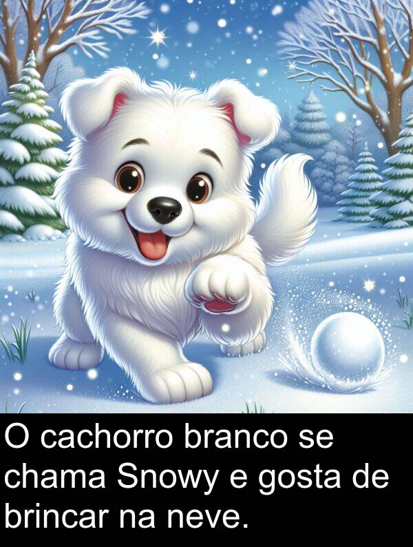 cachorro: O cachorro branco se chama Snowy e gosta de brincar na neve.