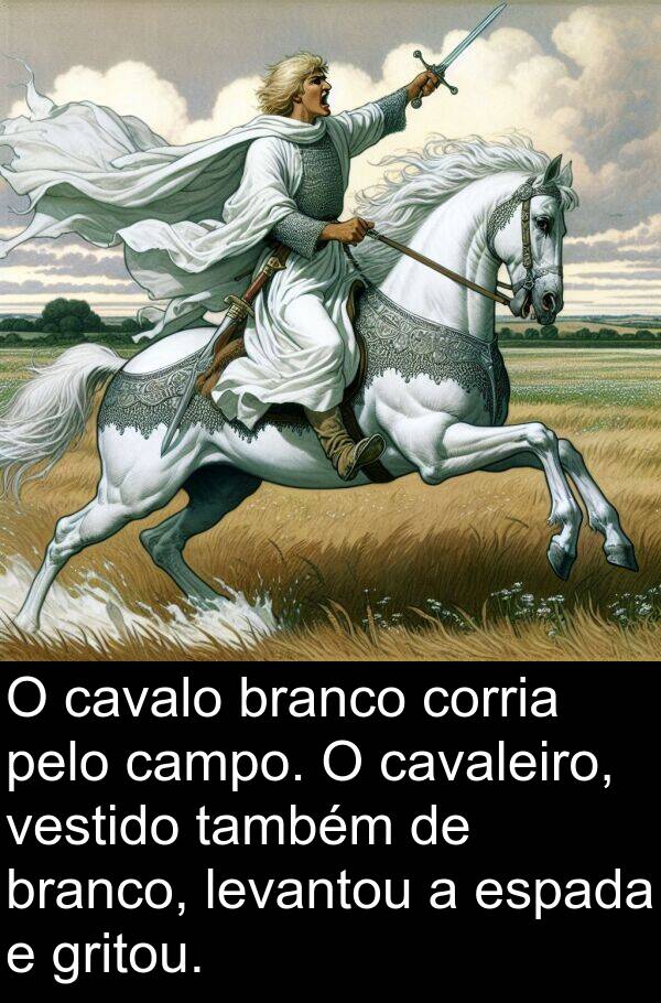 cavaleiro: O cavalo branco corria pelo campo. O cavaleiro, vestido também de branco, levantou a espada e gritou.