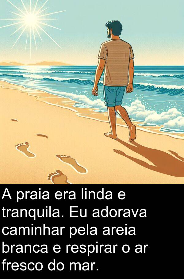 areia: A praia era linda e tranquila. Eu adorava caminhar pela areia branca e respirar o ar fresco do mar.