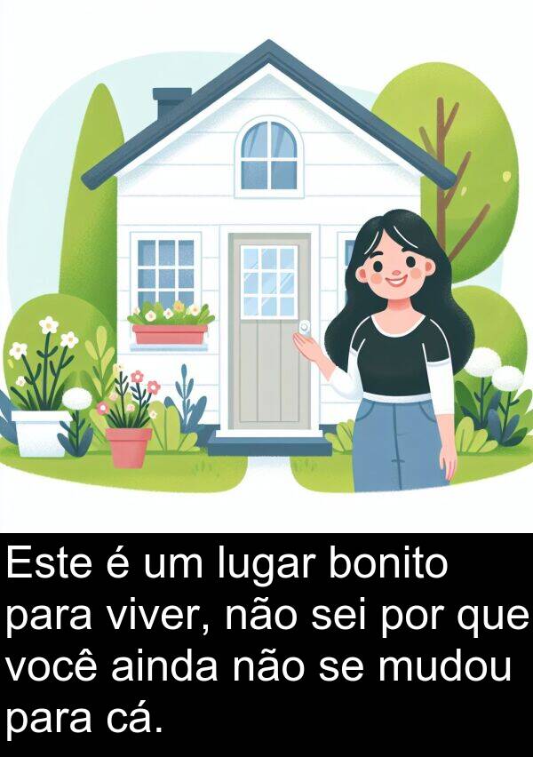 cá: Este é um lugar bonito para viver, não sei por que você ainda não se mudou para cá.