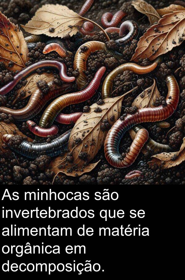 orgânica: As minhocas são invertebrados que se alimentam de matéria orgânica em decomposição.