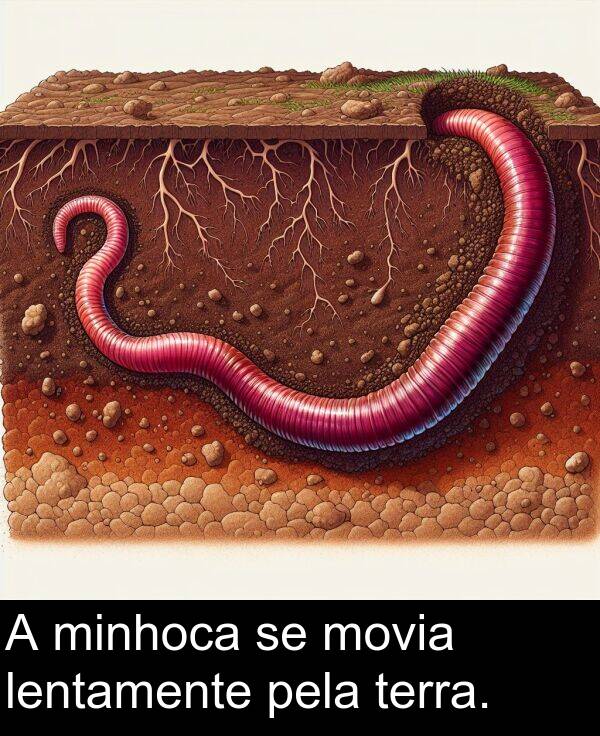 pela: A minhoca se movia lentamente pela terra.