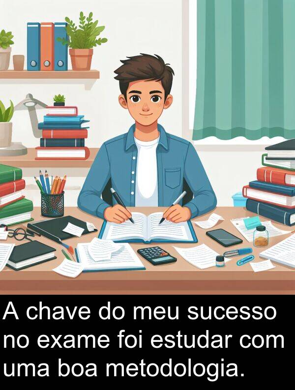 sucesso: A chave do meu sucesso no exame foi estudar com uma boa metodologia.