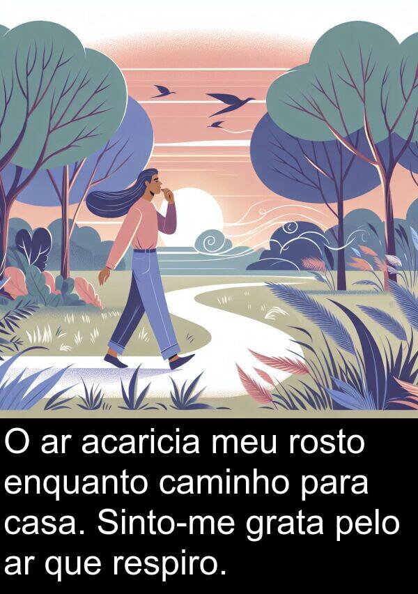 acaricia: O ar acaricia meu rosto enquanto caminho para casa. Sinto-me grata pelo ar que respiro.