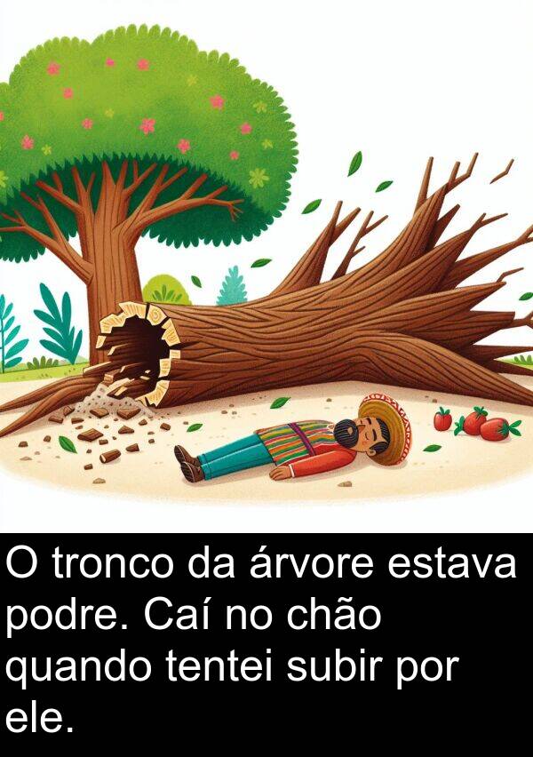 árvore: O tronco da árvore estava podre. Caí no chão quando tentei subir por ele.