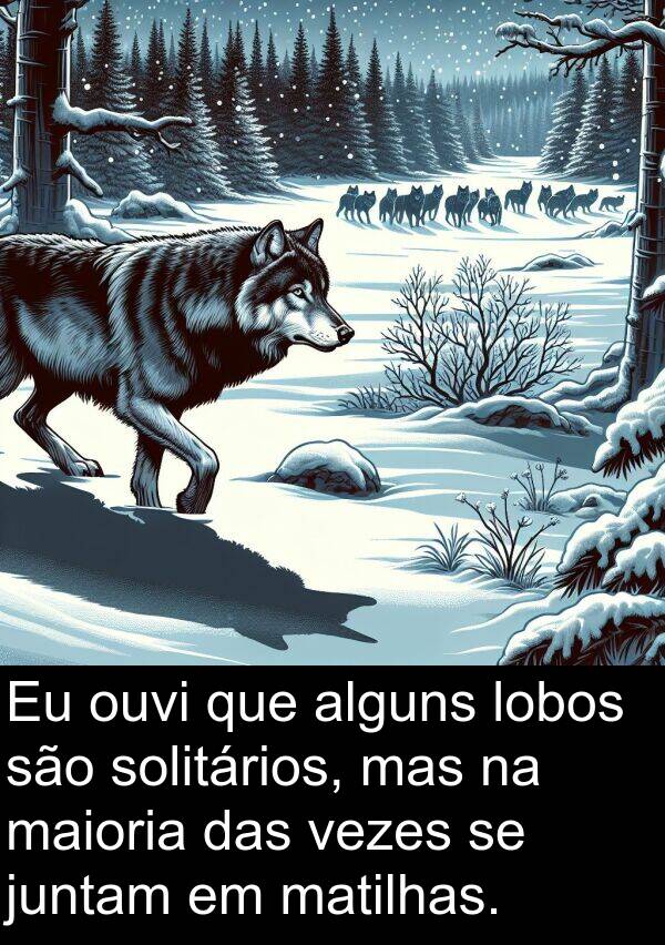 juntam: Eu ouvi que alguns lobos são solitários, mas na maioria das vezes se juntam em matilhas.