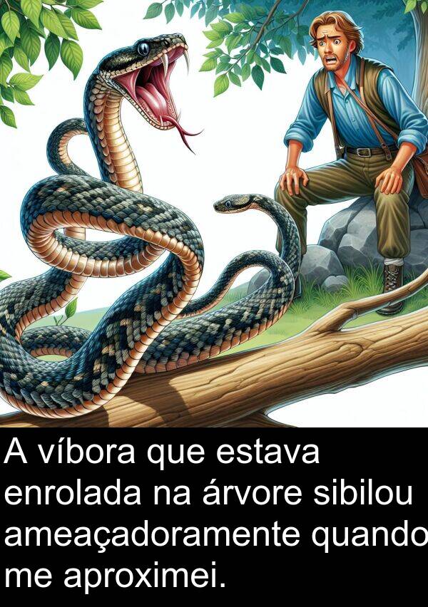 árvore: A víbora que estava enrolada na árvore sibilou ameaçadoramente quando me aproximei.