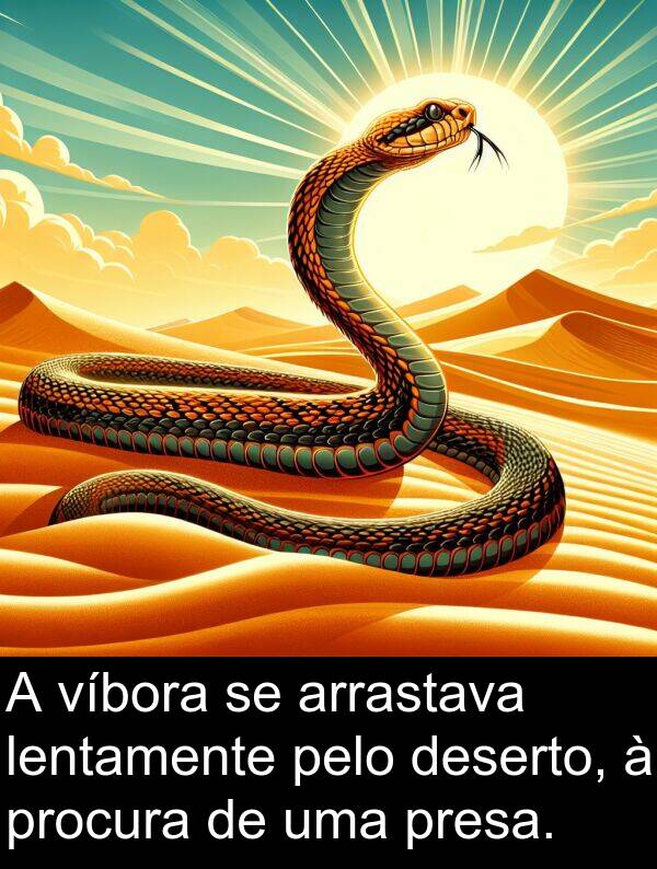 presa: A víbora se arrastava lentamente pelo deserto, à procura de uma presa.