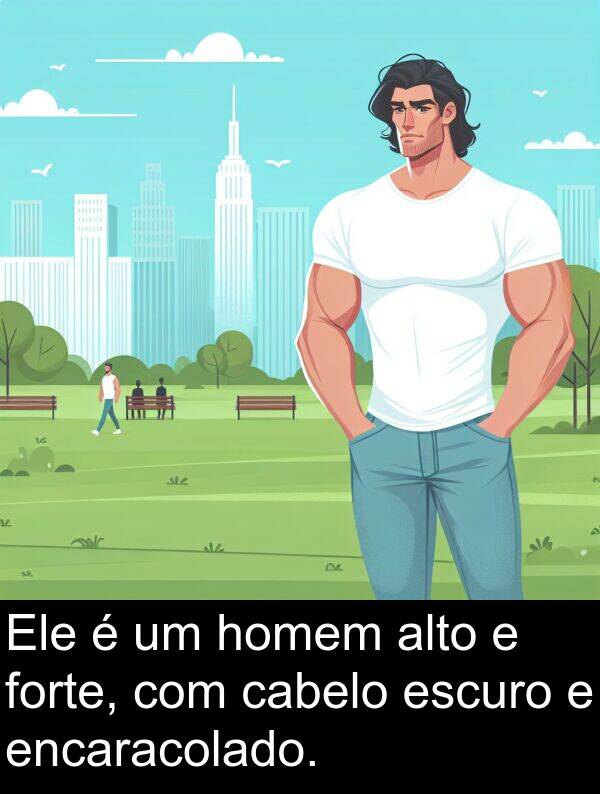 cabelo: Ele é um homem alto e forte, com cabelo escuro e encaracolado.