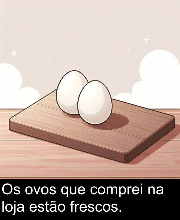 que: Os ovos que comprei na loja estão frescos.