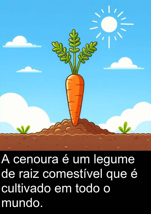 legume: A cenoura é um legume de raiz comestível que é cultivado em todo o mundo.