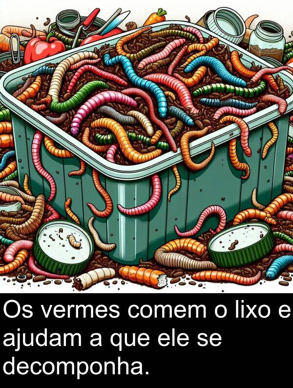 ajudam: Os vermes comem o lixo e ajudam a que ele se decomponha.