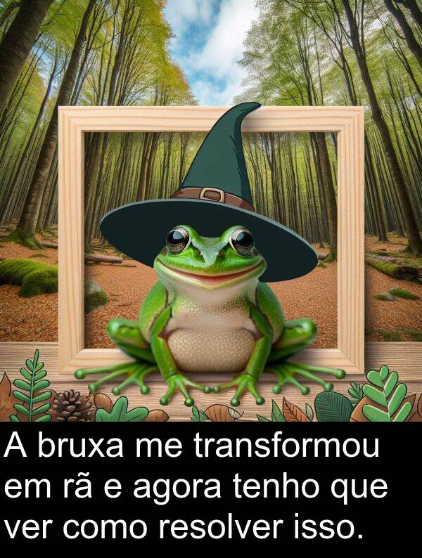 ver: A bruxa me transformou em rã e agora tenho que ver como resolver isso.