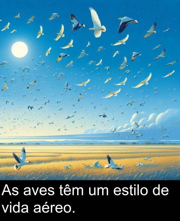têm: As aves têm um estilo de vida aéreo.