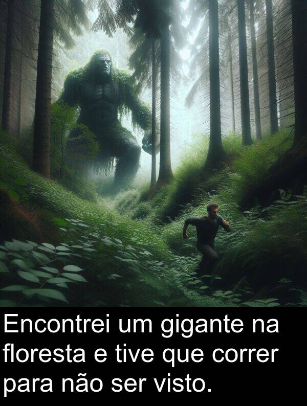 floresta: Encontrei um gigante na floresta e tive que correr para não ser visto.