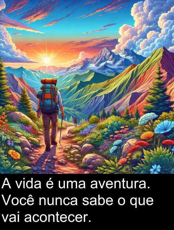 vai: A vida é uma aventura. Você nunca sabe o que vai acontecer.