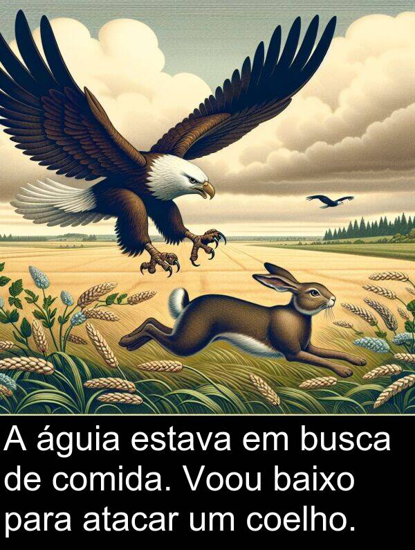 águia: A águia estava em busca de comida. Voou baixo para atacar um coelho.