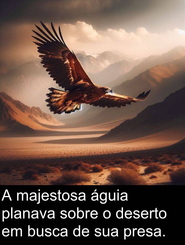 majestosa: A majestosa águia planava sobre o deserto em busca de sua presa.