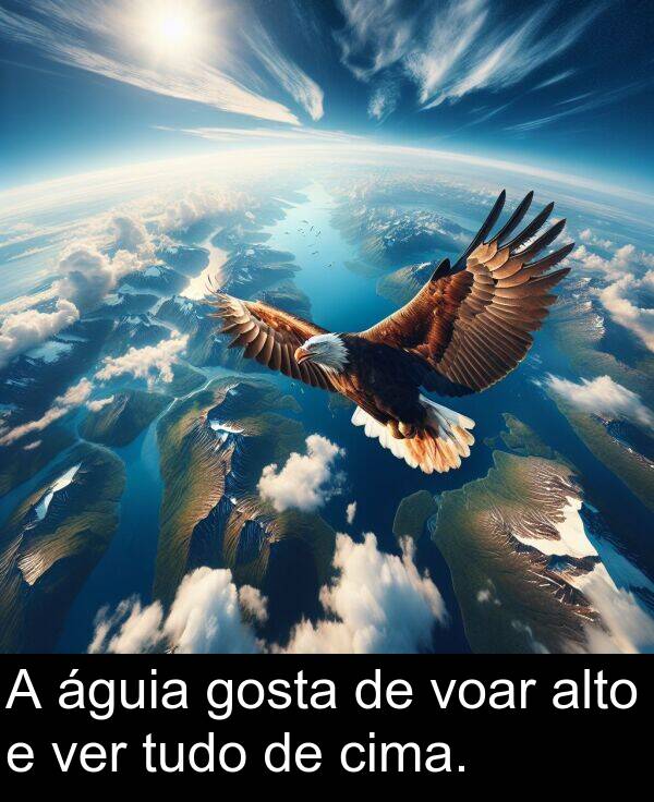 ver: A águia gosta de voar alto e ver tudo de cima.