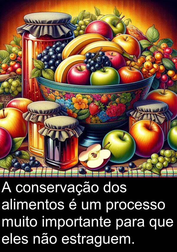 eles: A conservação dos alimentos é um processo muito importante para que eles não estraguem.