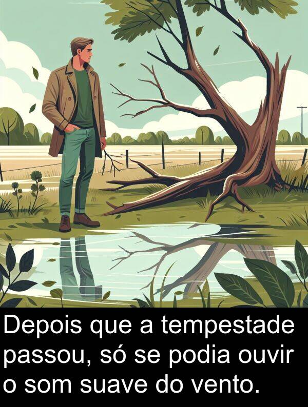 vento: Depois que a tempestade passou, só se podia ouvir o som suave do vento.