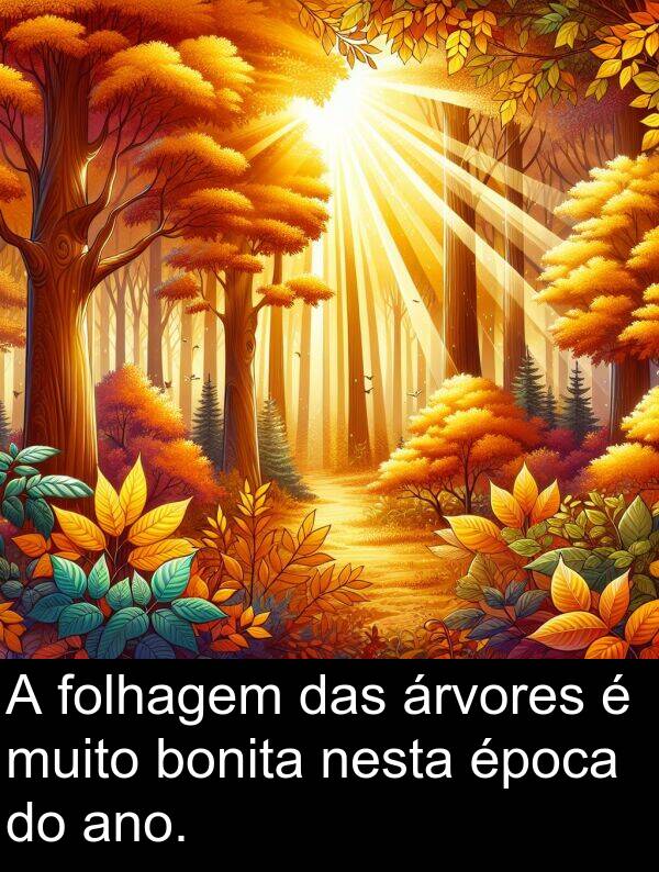 árvores: A folhagem das árvores é muito bonita nesta época do ano.