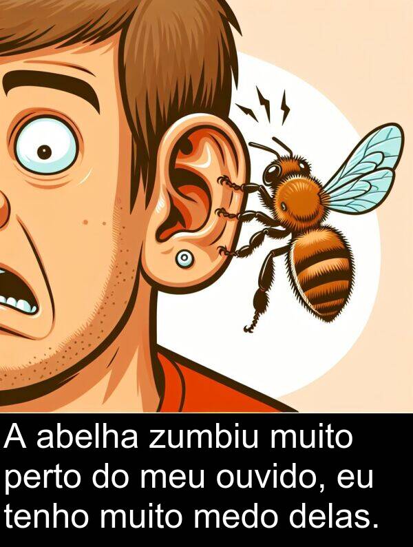 abelha: A abelha zumbiu muito perto do meu ouvido, eu tenho muito medo delas.