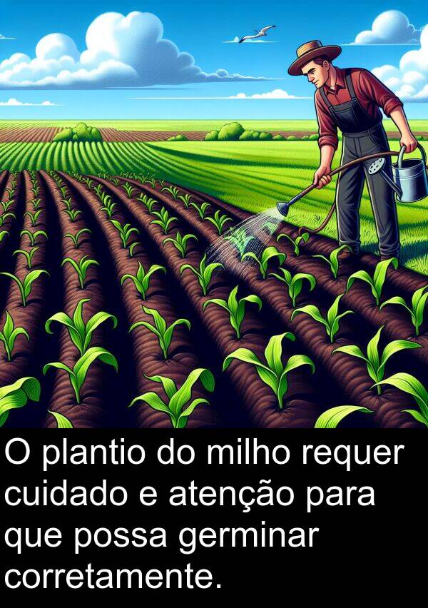 atenção: O plantio do milho requer cuidado e atenção para que possa germinar corretamente.