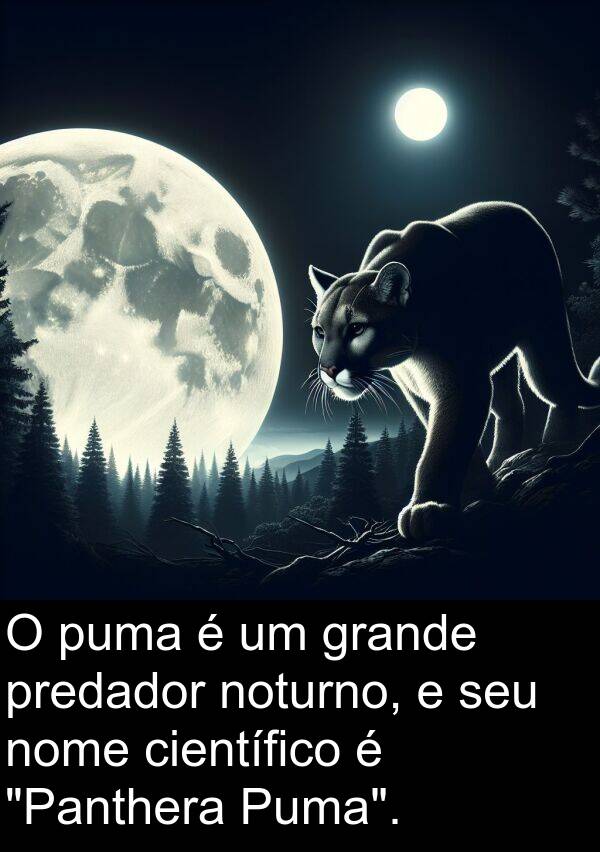 puma: O puma é um grande predador noturno, e seu nome científico é "Panthera Puma".