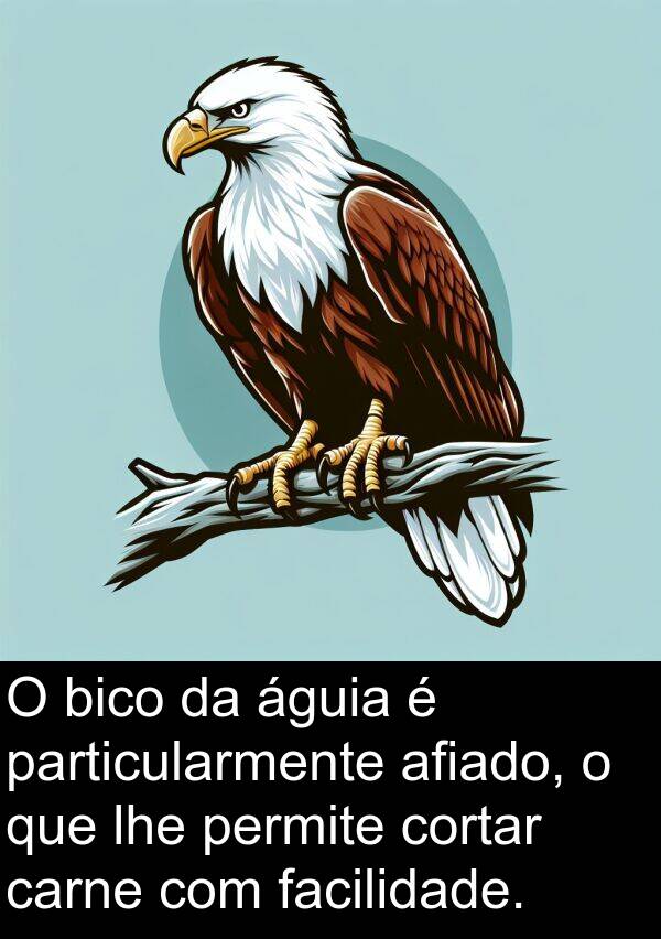 águia: O bico da águia é particularmente afiado, o que lhe permite cortar carne com facilidade.