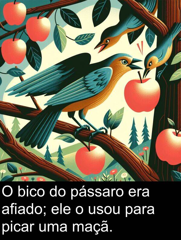 maçã: O bico do pássaro era afiado; ele o usou para picar uma maçã.
