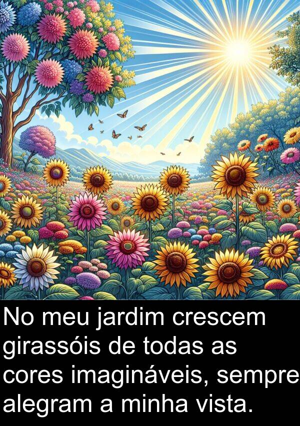 todas: No meu jardim crescem girassóis de todas as cores imagináveis, sempre alegram a minha vista.
