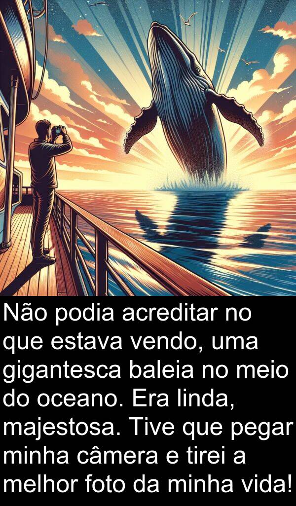 vendo: Não podia acreditar no que estava vendo, uma gigantesca baleia no meio do oceano. Era linda, majestosa. Tive que pegar minha câmera e tirei a melhor foto da minha vida!