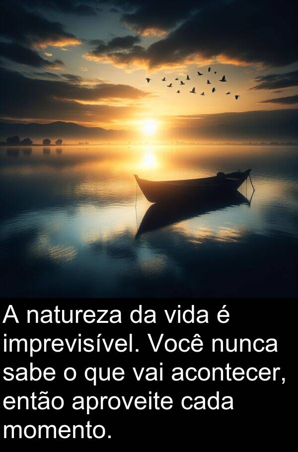 natureza: A natureza da vida é imprevisível. Você nunca sabe o que vai acontecer, então aproveite cada momento.