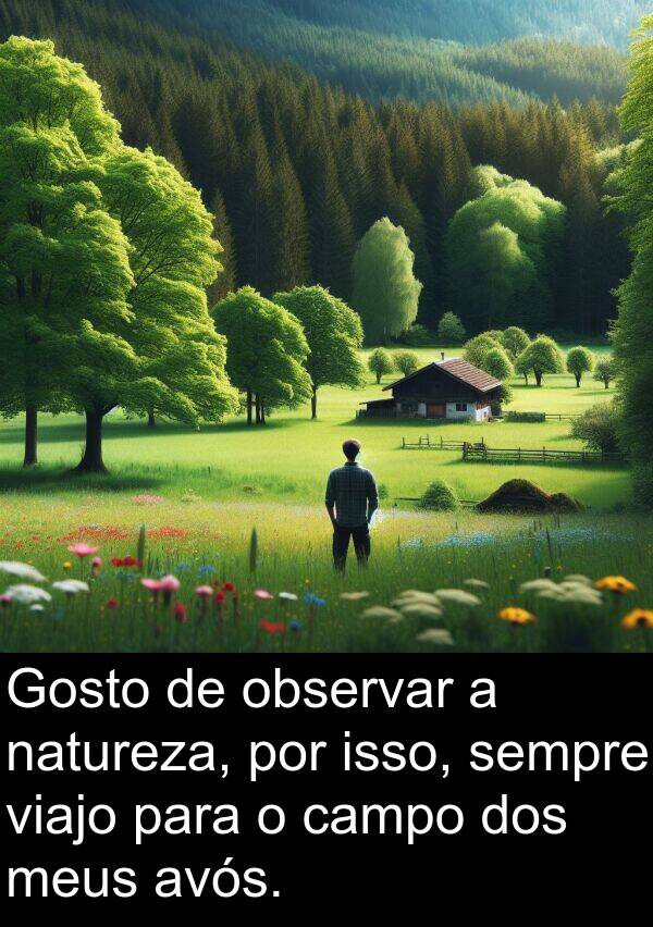 natureza: Gosto de observar a natureza, por isso, sempre viajo para o campo dos meus avós.