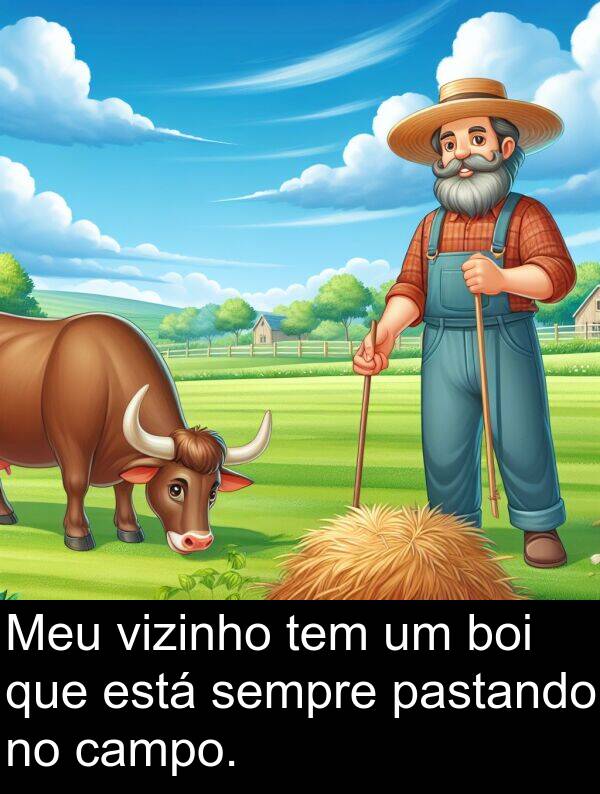 vizinho: Meu vizinho tem um boi que está sempre pastando no campo.
