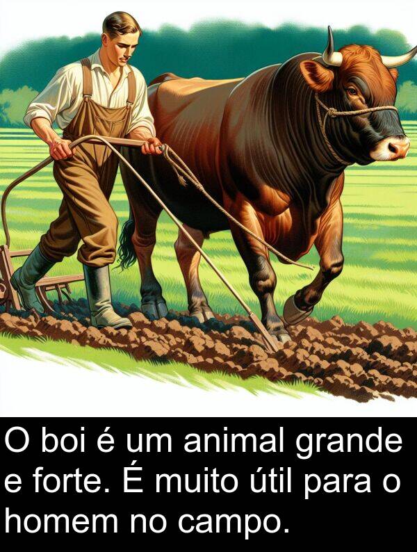 útil: O boi é um animal grande e forte. É muito útil para o homem no campo.