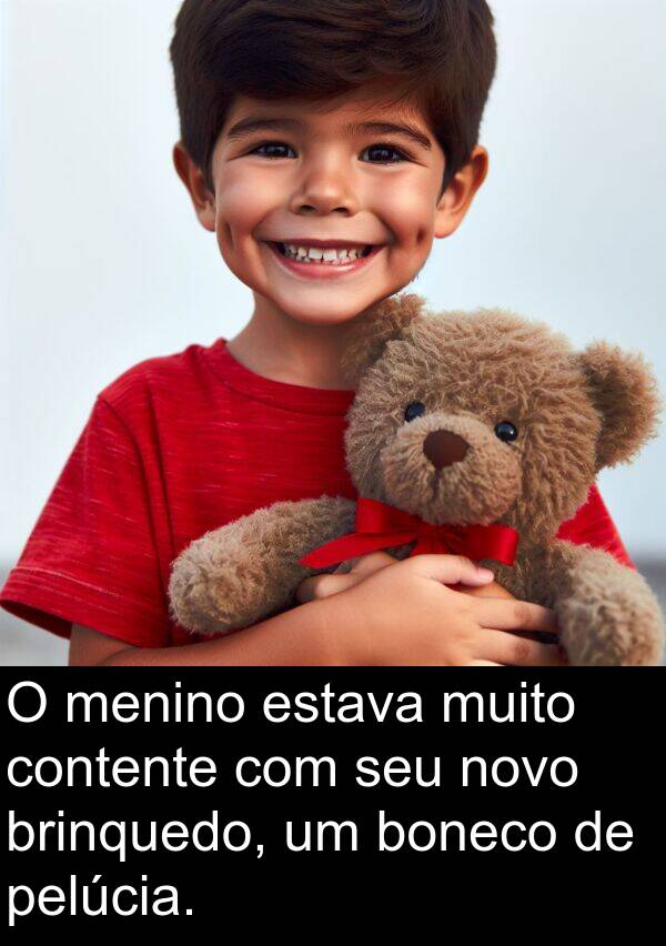 pelúcia: O menino estava muito contente com seu novo brinquedo, um boneco de pelúcia.